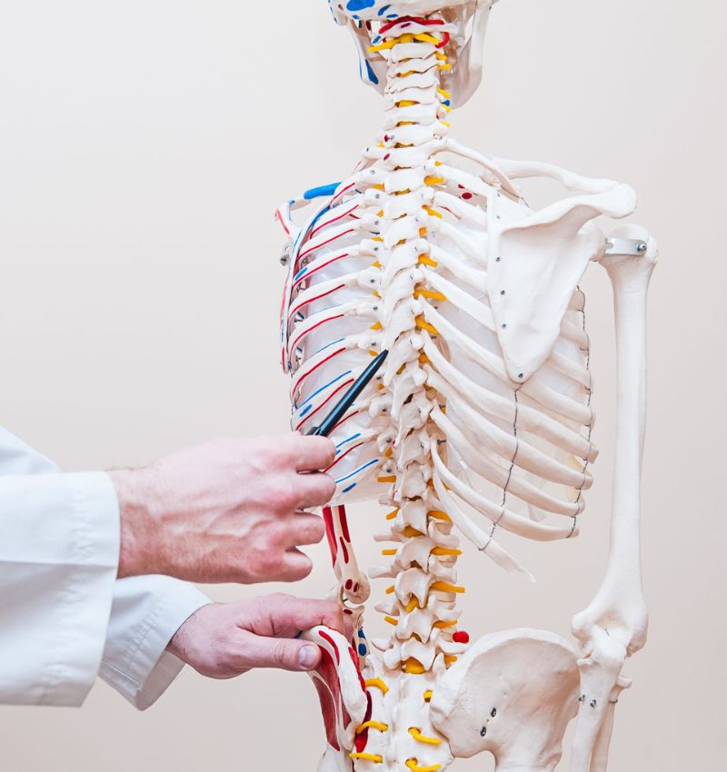 Image of a doctor pointing to a spine. Granite State Pain Associates offers spinal cord stimulation as a non-surgical procedure in NH 